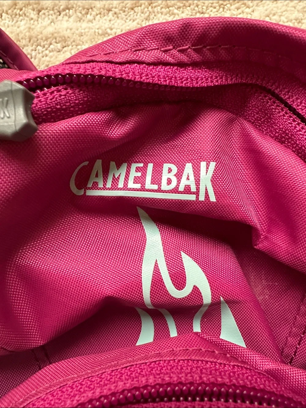 CamelBak Mini M.U.L.E. Kids Hydration Backpack, 50 oz, Purple No Bladder Include